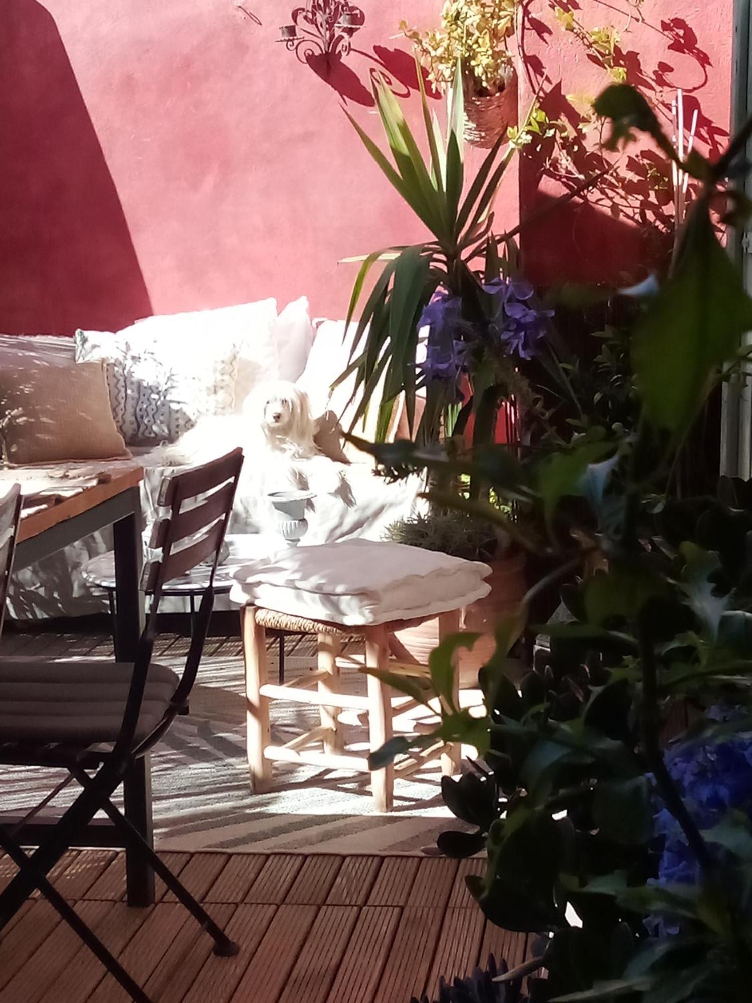 La Maison Perchee Aigues-Mortes Bilik gambar